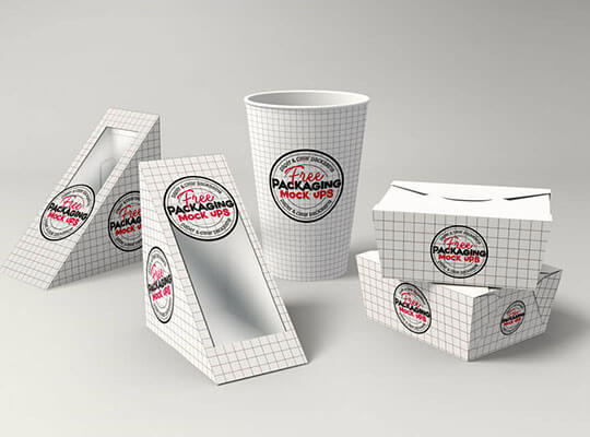 Validation Study Verbal Autopsy